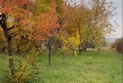 Teren de 500 mp, în Central - 7