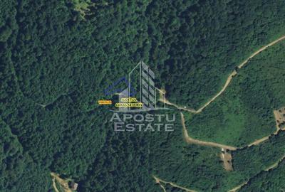 Teren intravilan, 1000 și 1050mp front stradal generos, Valiug - 2