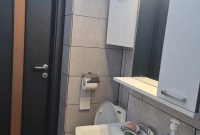 Apartament cu 2 camere semidecomandat, mobilat în Dacia - 5