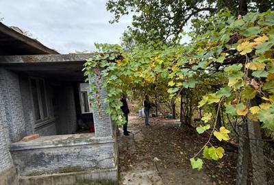 Vand Teren 970 mp cu casa + anexe, Stane?tiBalanu - 2