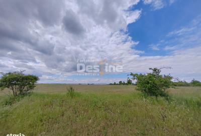 Spațiu comercial, în Nedelea - 15