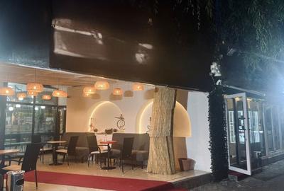 Spațiu comercial, în Kiseleff - 10