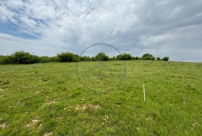 Teren de 500 mp, în Central - 1