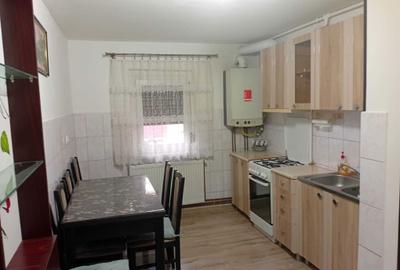 Apartament cu 2 camere decomandat în Cetate - 6