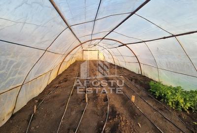 Casă individuală cu 11 camere cu Canalizare în Satchinez - 3