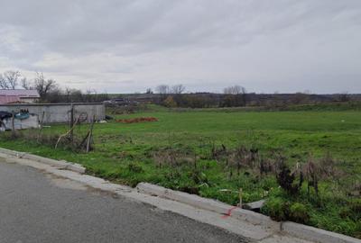 Teren Mischii - 760 mp la asfalt , toate utilitatile - 1