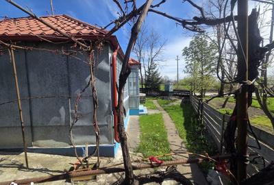 Casă cu 5 camere cu Teren 2000 Mp în Rădăuți-Prut - 4