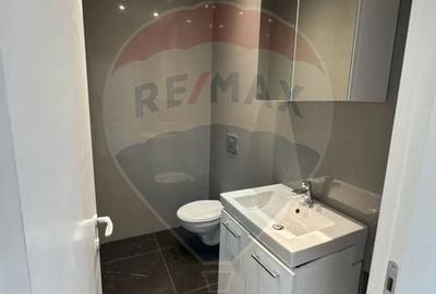 Vila deosebita de inchiriat in zona linistita - 13