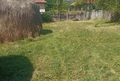 Teren Construcții intravilan de 3900 mp, în Central - 1