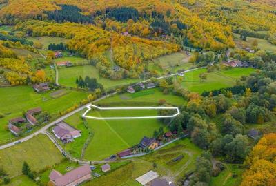 COMISION 0% Teren 3,109mp Dobarlau/ Partial intravilan - 4