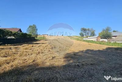Teren de 7500 mp, în Moara - 7