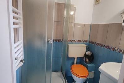 Garsonieră în Giurgiului - 7