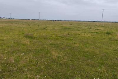 Teren de 1875 mp, în Frătăuții Vechi - 3