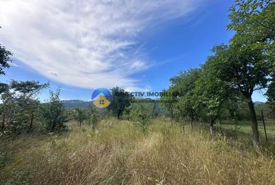 Teren + Casa de Vanzare 1170 mp Dumbrava Ro?ie, N - 6
