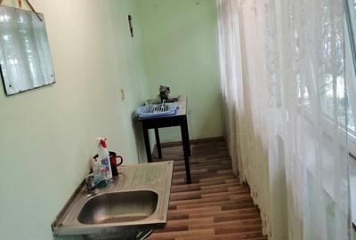 Casă cu 2 camere în Șag - 4