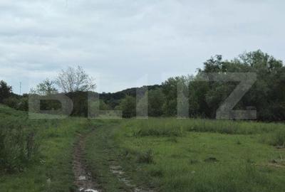 Teren de 3355 mp, în Răzvad - 2