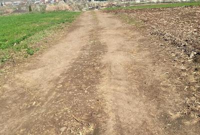Teren de 3300 mp, în Râciu - 6