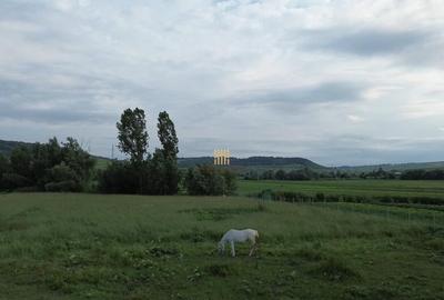 Teren 3953 mp Falticeni Tarna Mare De 0727817187 - 22