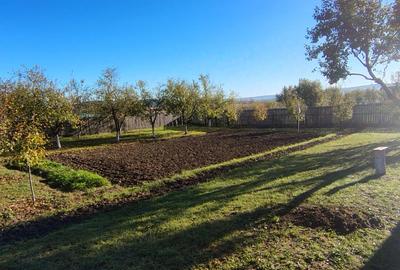 Casă cu 4 camere în Purcăreni (Micești) - 1