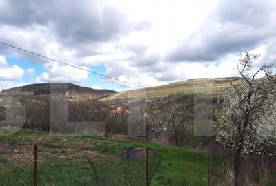 Teren de 800 mp, în Central - 6