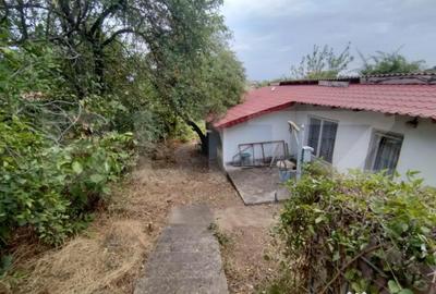 Casă cu 3 camere cu Teren 1167 Mp în Leamna de Jos - 3