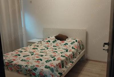 Apartament cu 2 camere semidecomandat în Roșu - 10