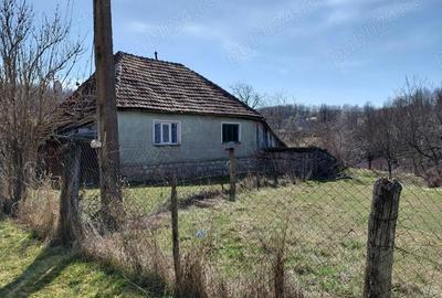 Casă cu Teren 6580 Mp în Zece Hotare - 1