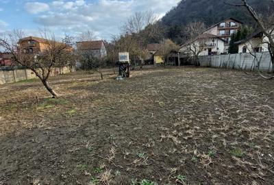 Spațiu comercial, în Horea - 6