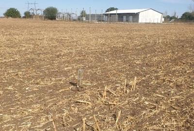 Proprietar Teren intravilan 2370 mp la intrarea in orasul Fundulea - 1