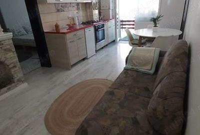 Studio de inchiriat Subcetate Sanpetru - 6