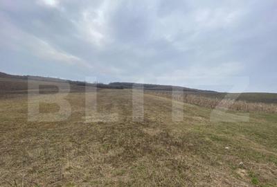 Teren de 2500 mp, în Central