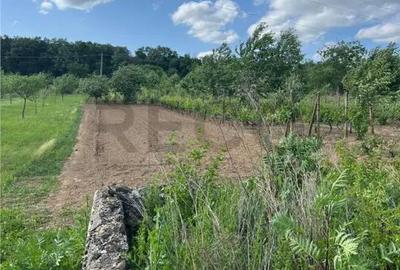 Teren de 1600 mp, în Petreu - 3