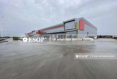 Spațiu comercial, de 3,000 mp, în Dragomirești-Deal - 3