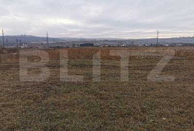 Teren de 5900 mp, în Pătrăuți - 1