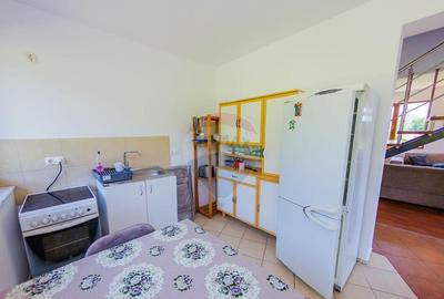 Vila de vanzare cu priveli?te superba Cicarlau - 15