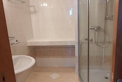 Penthouse cu 3 camere decomandat, mobilat în Domenii - 29