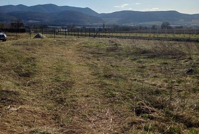 Spațiu comercial, în Șoimuș - 5