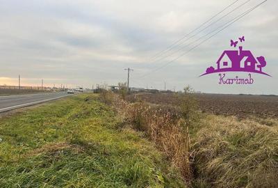 Teren pentru hale soseaua Nojorid Les - 2