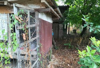 Casă cu 2 camere cu Teren 1000 Mp în Poienarii Burchii - 1