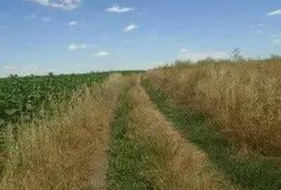 Teren extravilan Caldararu, ID: R2616308 - 7