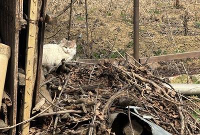 Casă cu 2 camere în Central - 2