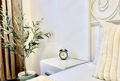 Garsonieră decomandată în Dristor - 3