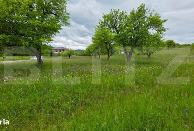 Teren de 900 mp, în Unirea - 4