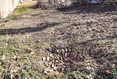 Teren de 1760 mp, în Central - 1