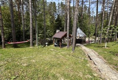 Casa in Moroeni, in afara satului, langa  parau, inconjurata de o padure de pini - 4