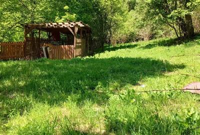 Casă cu 2 camere cu Teren 3400 Mp în Ghelari - 9