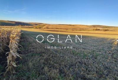 Teren intravilan cu PUZ pentru investitie - 26.100 mp - Sura Mare - 7