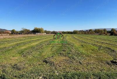 Teren intravilan/Str Balciului/Copacelu - 5