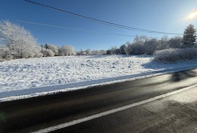 Teren intravilan 500 sau 1000 mp Bran-Tohanita la dum asfaltat - 32
