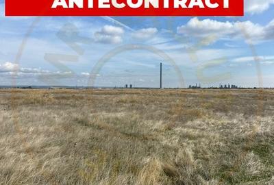 Teren Construcții extravilan de 10000 mp, în Albota - 4